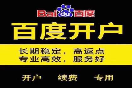 某公司SEO与SEM整合营销的全程记录